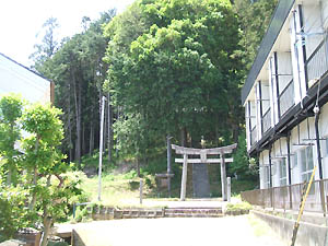 武神社全景