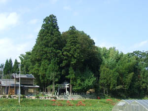岩上神社全景
