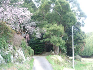 松尾神社全景