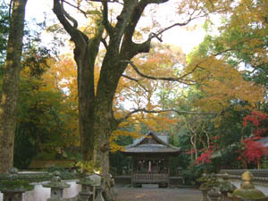 日吉神社全景