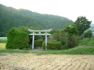 八幡神社全景
