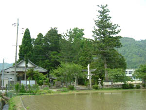 船井神社全景